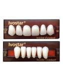 Zęby Ivostar marki Ivoclar przednie