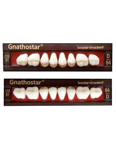 Zęby Gnathostar marki Ivoclar boczne